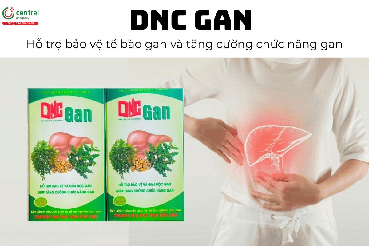 DNC Gan - Hỗ trợ bảo vệ tế bào gan và tăng cường chức năng gan