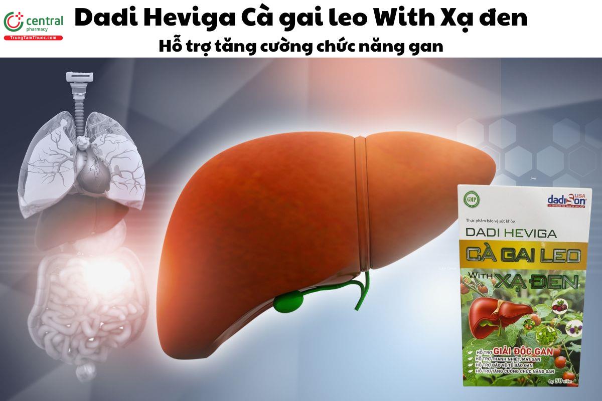 Dadi Heviga Cà gai leo With Xạ Đen (Lọ 50 viên) - Giúp giải độc gan