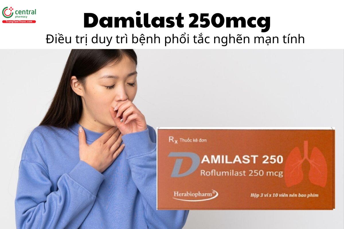 Thuốc Damilast 250mcg - Điều trị duy trì bệnh phổi tắc nghẽn mạn tính 