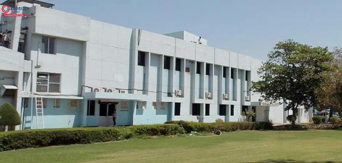 Văn phòng Công ty Denis Chem Lab tại Ấn Độ 