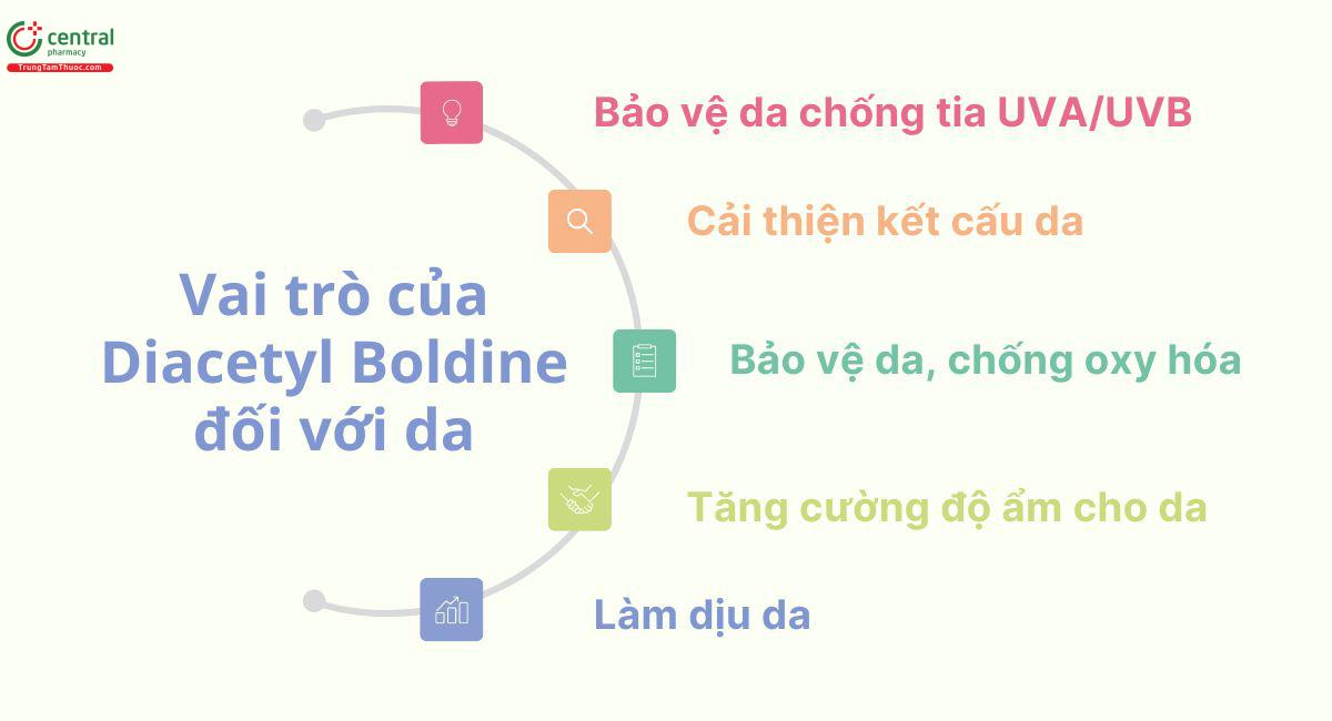 Vai trò của Diacetyl Boldine đối với da