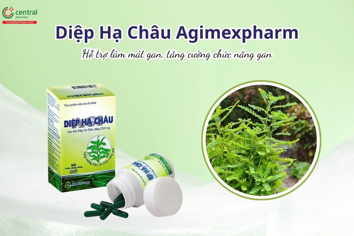 Diệp Hạ Châu Agimexpharm hỗ trợ làm mát gan, tăng cường chức năng gan