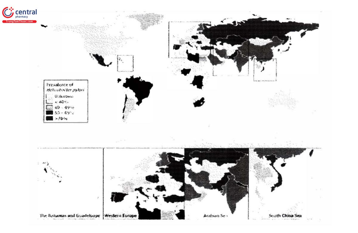 Hình 1: Tỷ lệ hiện mắc H. pylori toàn cầu. Từ Hooi và cộng sự. 2017 (WGO)