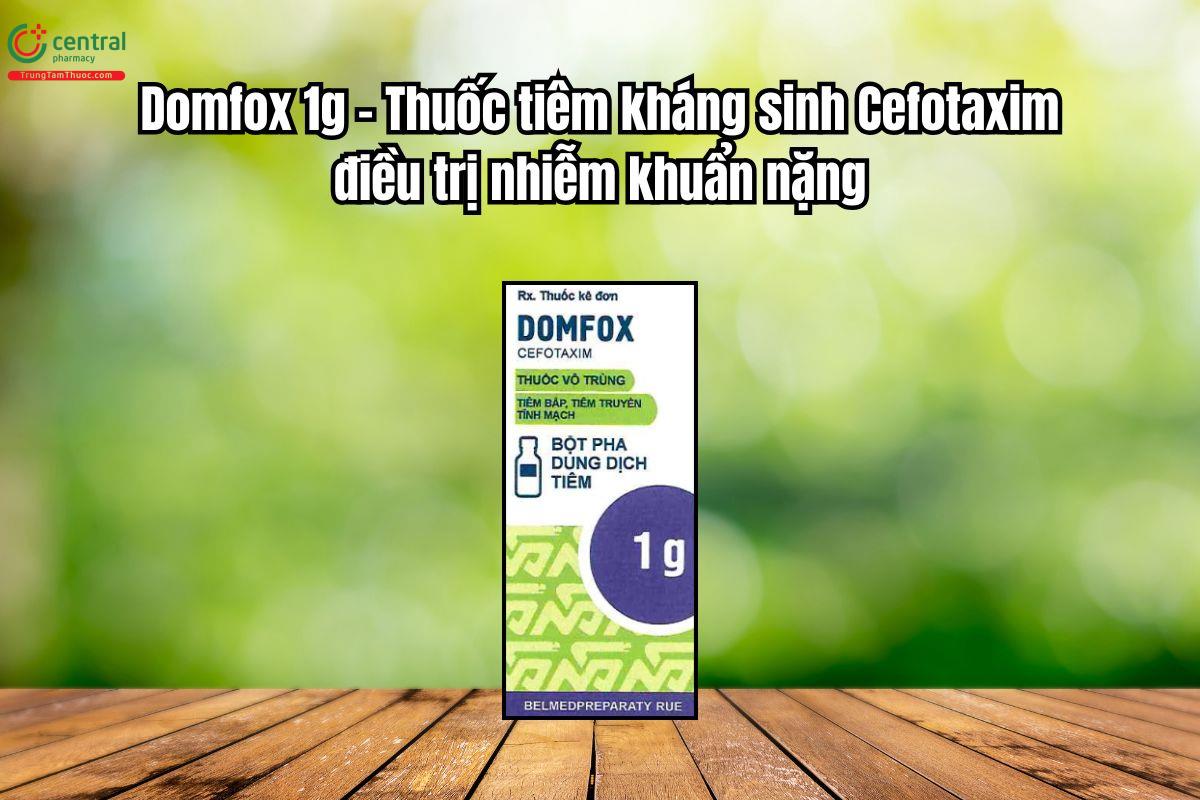 Thuốc Domfox 1g kháng sinh Cefotaxim điều trị nhiễm khuẩn nặng