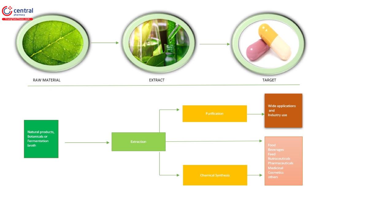 Quy trình sản xuất thuốc từ dược liệu tự nhiên của DongBangFTL