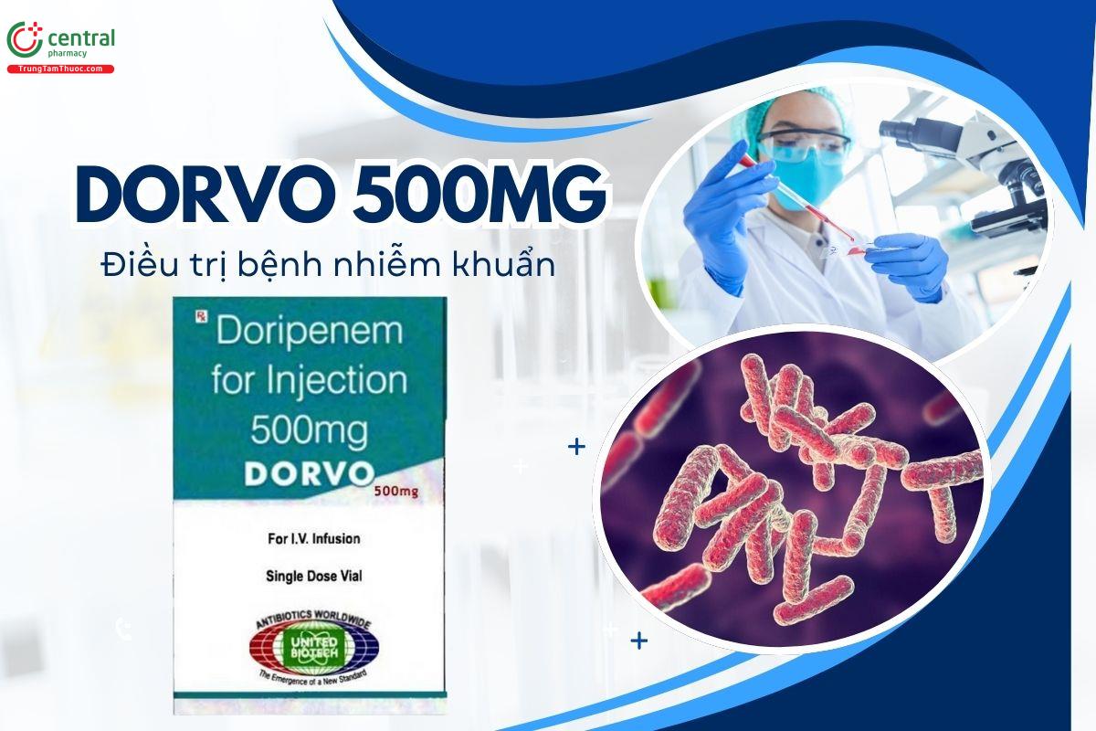 Thuốc Dorvo 500mg - Điều trị nhiễm khuẩn ở người trưởng thành