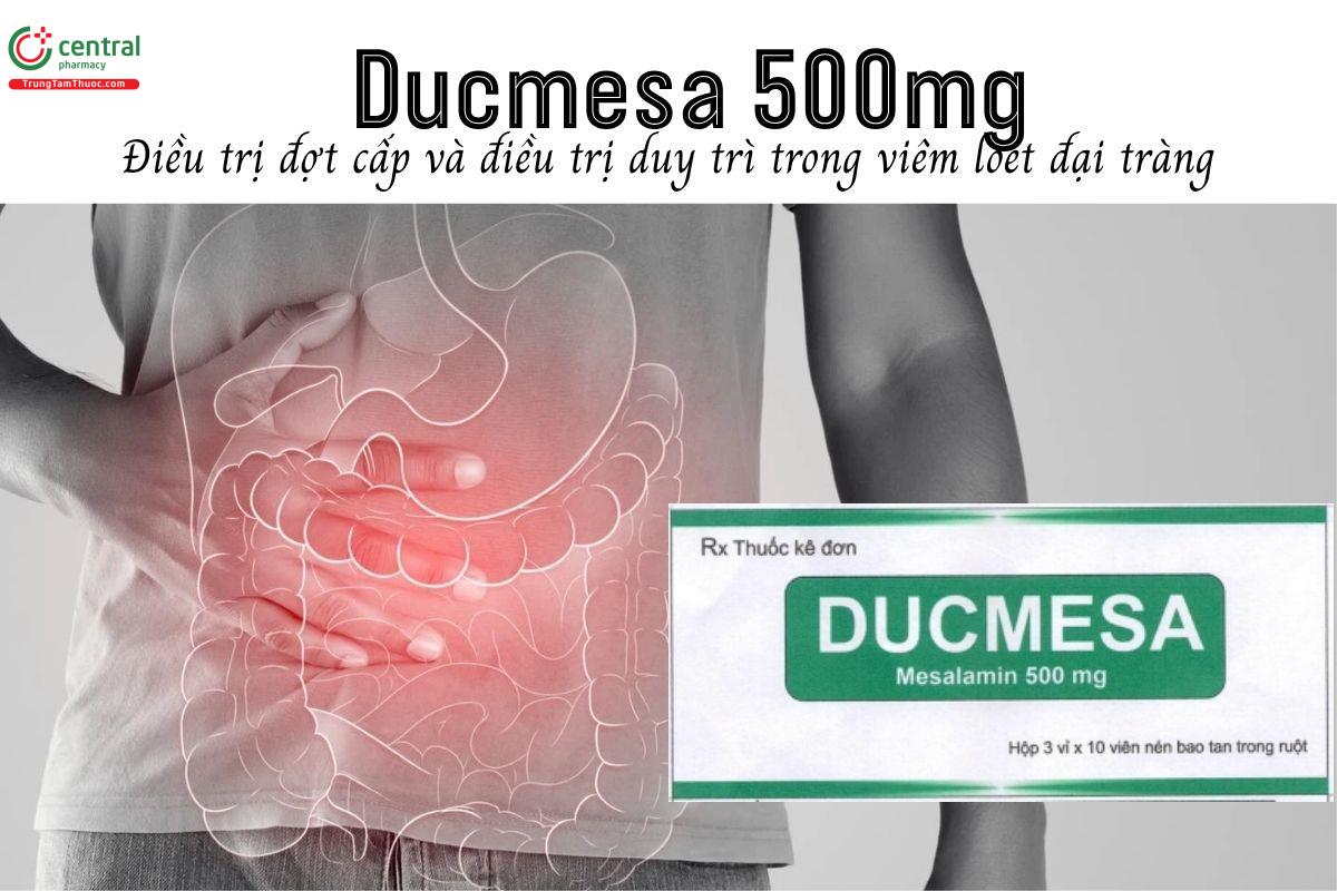 Thuốc Ducmesa 500mg - Điều trị đợt cấp và điều trị duy trì trong viêm loét đại tràng