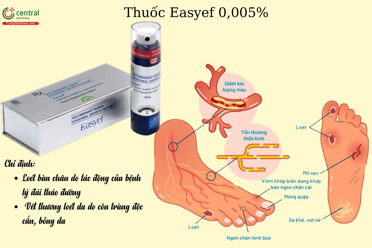 Chỉ định của thuốc Easyef 0,005%