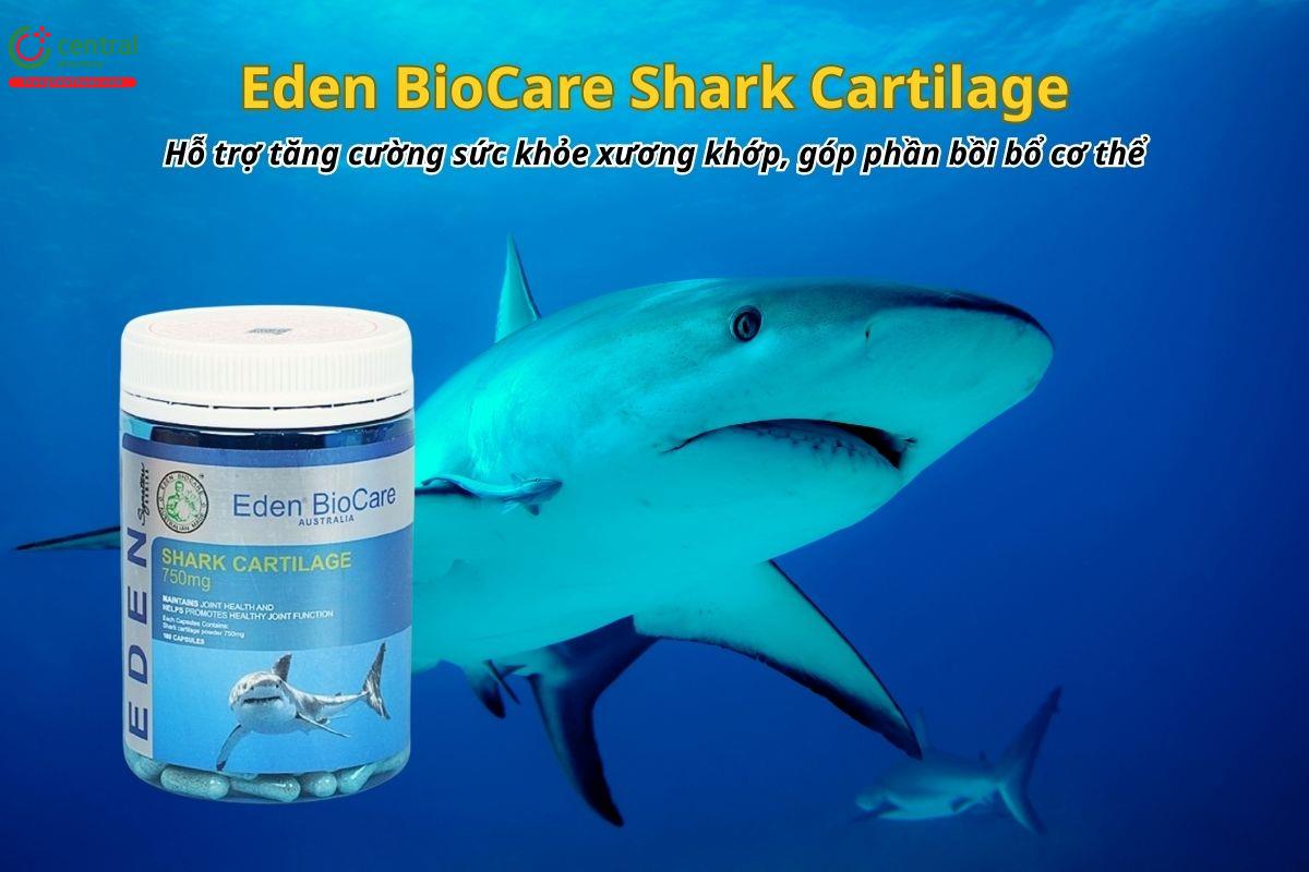 Eden BioCare Shark Cartilage 750mg hỗ trợ tăng cường sức khỏe xương khớp, góp phần bồi bổ cơ thể