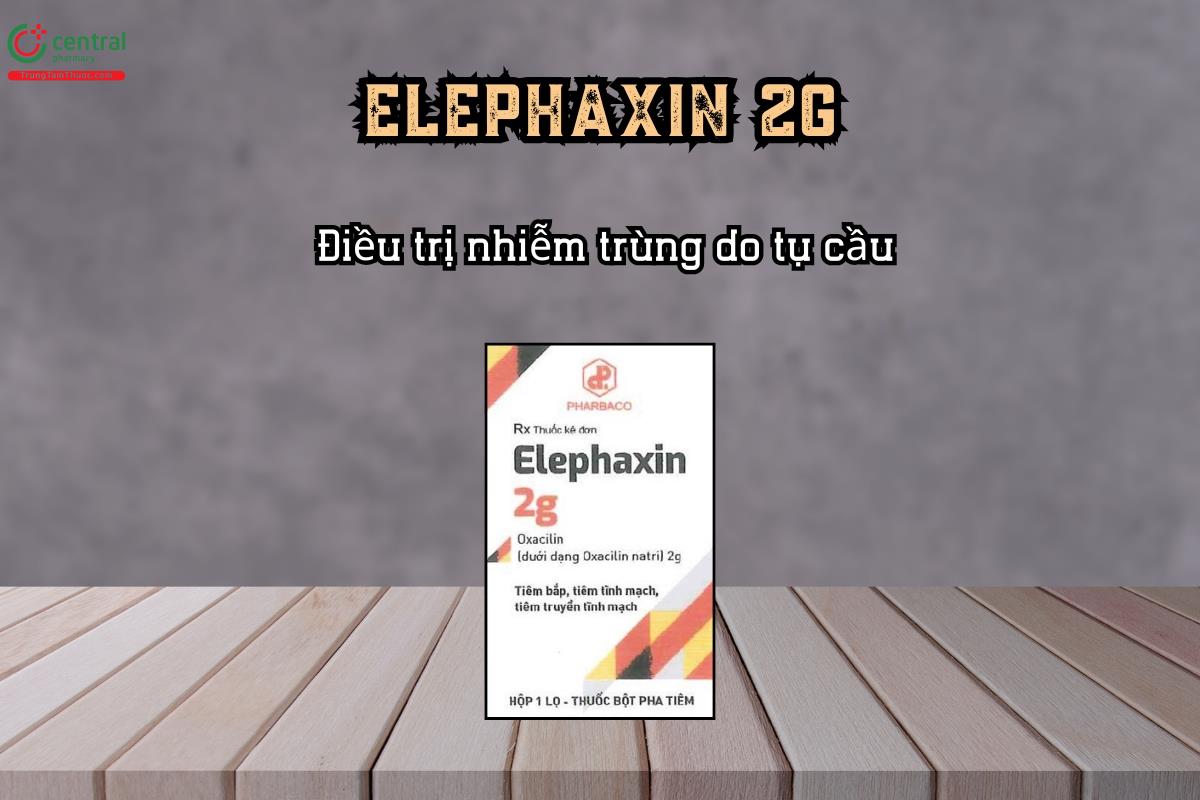 Điều trị nhiễm trùng do tụ cầu với thuốc bột pha tiêm Elephaxin 2g