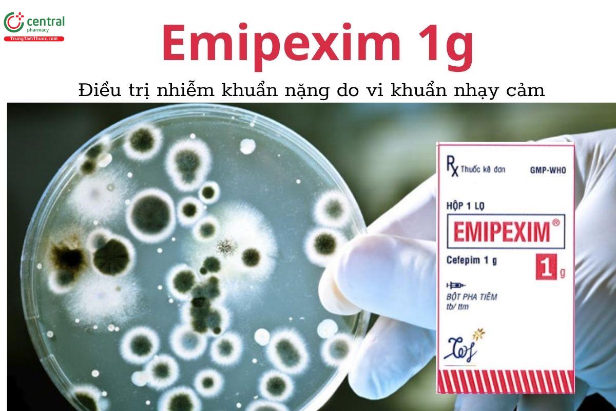Thuốc Emipexim 1g - Điều trị nhiễm khuẩn nặng do vi khuẩn nhạy cảm