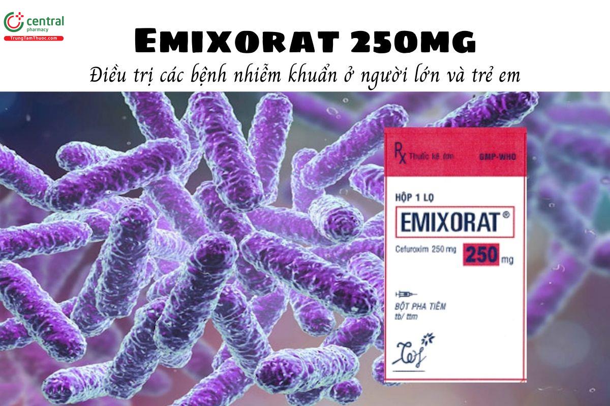 Thuốc Emixorat 250mg - Điều trị các bệnh nhiễm khuẩn ở người lớn và trẻ em