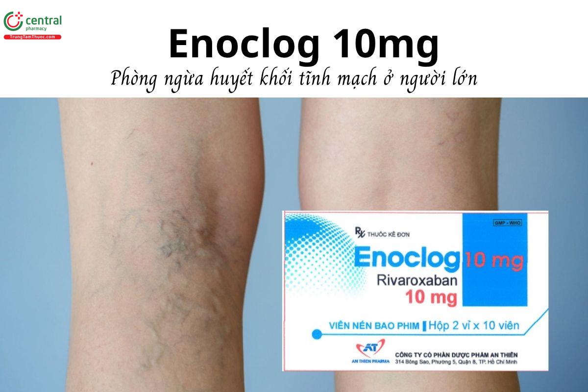 Thuốc Enoclog 10mg - Phòng ngừa huyết khối tĩnh mạch ở người lớn
