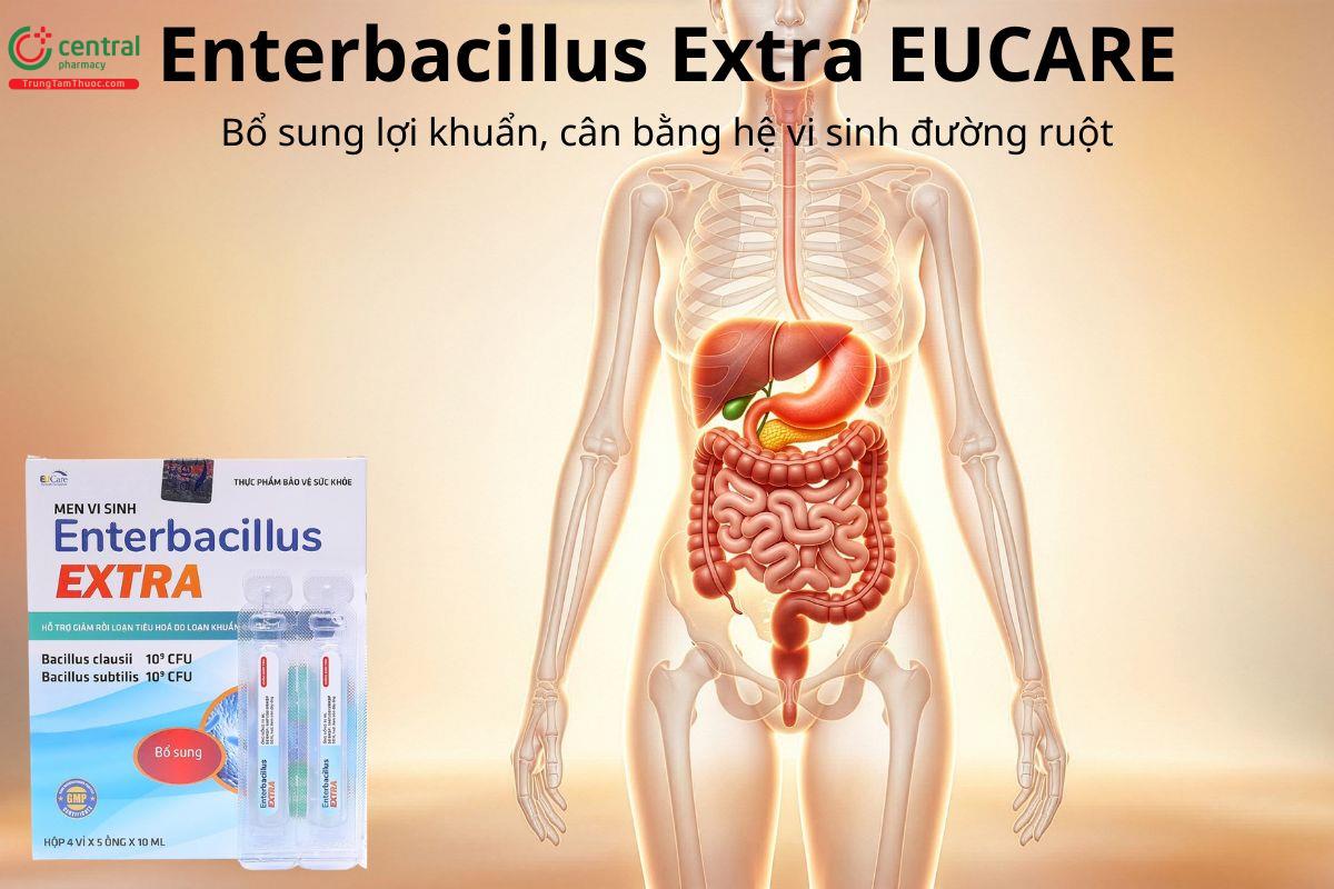 Enterbacillus Extra EUCARE hỗ trợ cân bằng hệ vi sinh đường ruột
