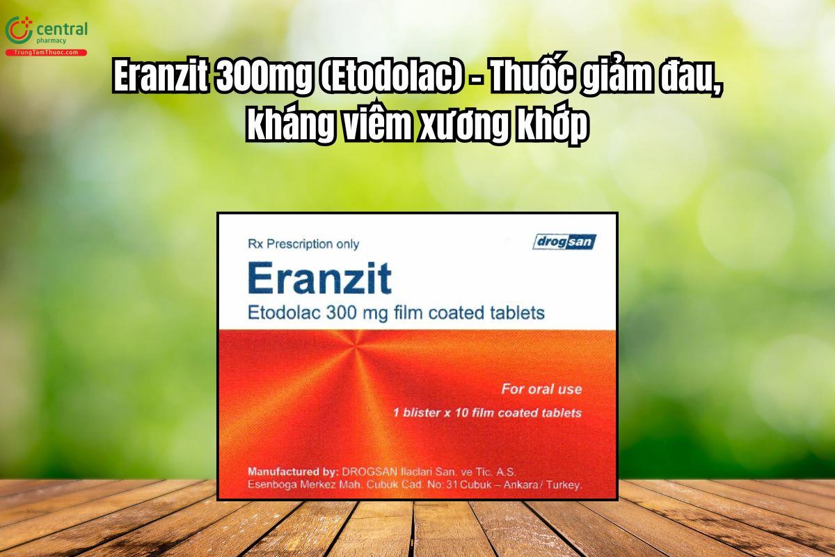 Thuốc Eranzit 300mg giảm đau, kháng viêm xương khớp