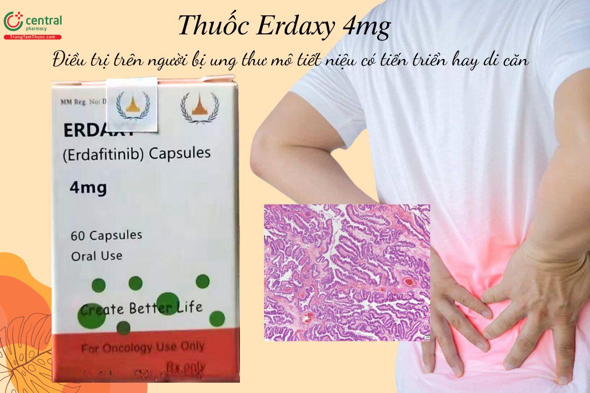 Chỉ định của thuốc Erdaxy 4mg