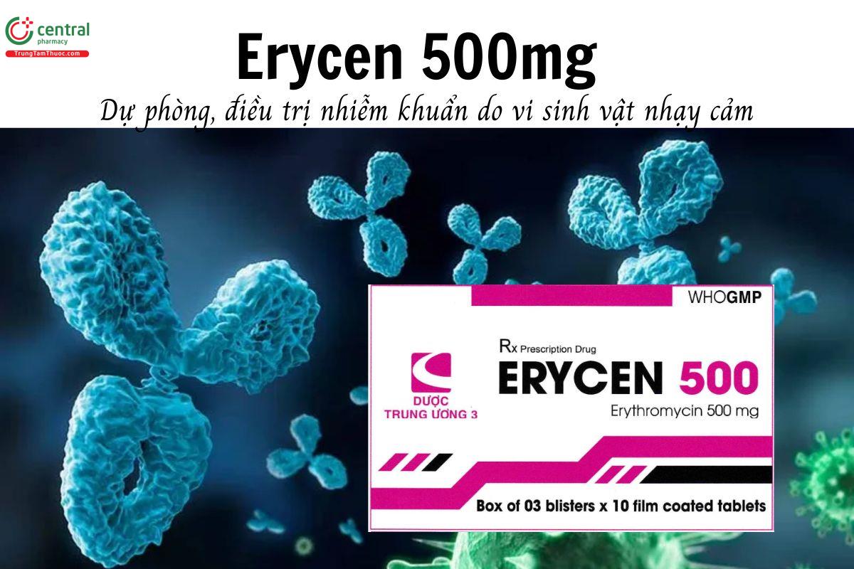 Thuốc Erycen 500mg - Dự phòng, điều trị nhiễm khuẩn do vi sinh vật nhạy cảm