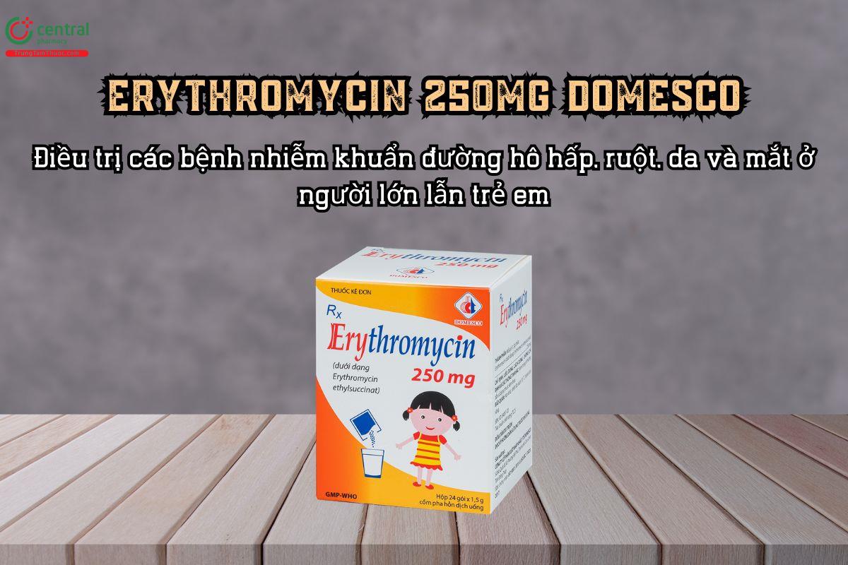  Thuốc điều trị nhiễm khuẩn Erythromycin 250 mg