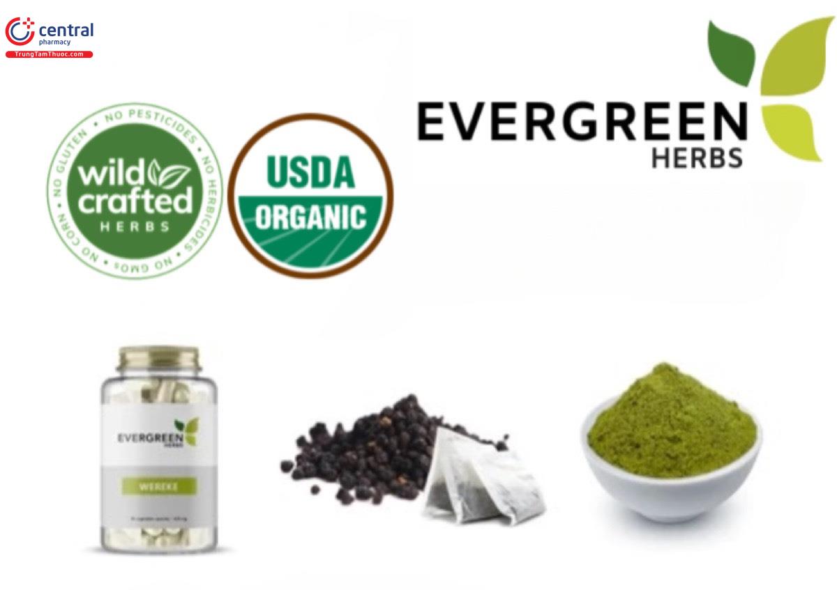 Evergreen Herbs chỉ sử dụng nguồn thảo dược Wild Crafted hoặc Certifide Organic 