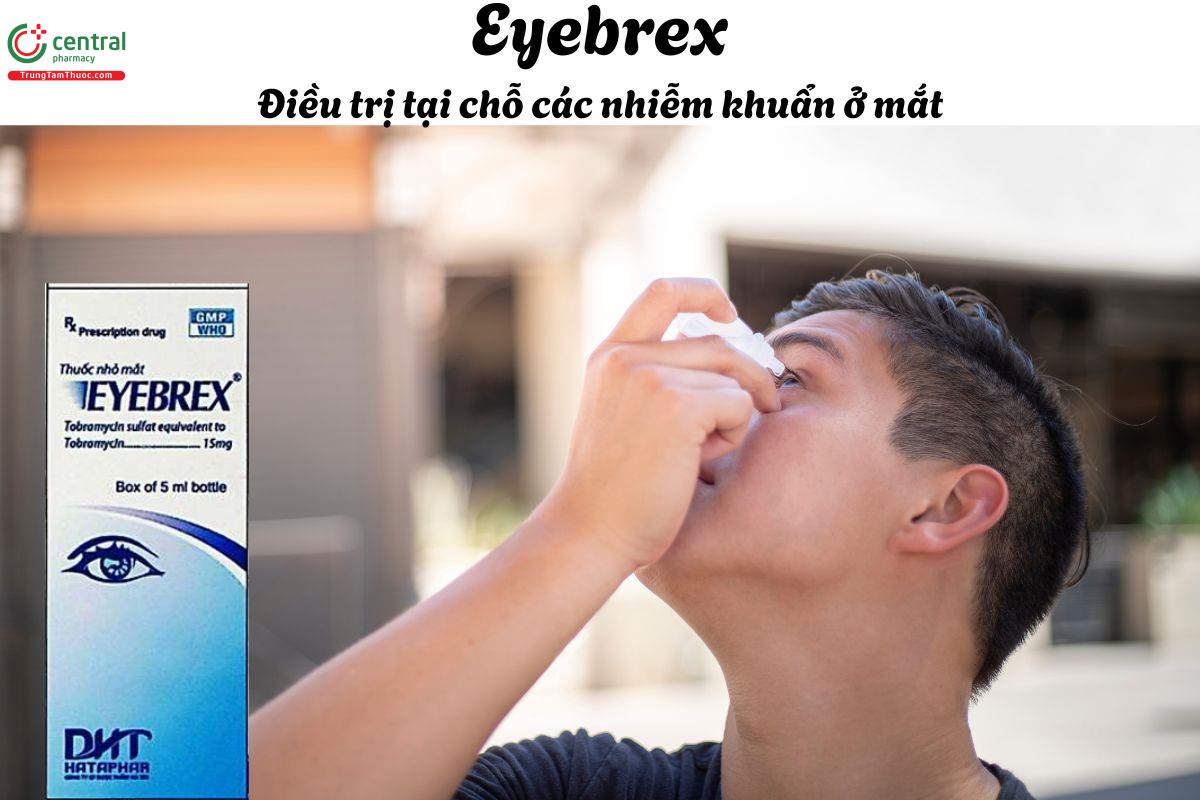 Thuốc Eyebrex Hataphar - Điều trị tại chỗ các nhiễm khuẩn ở mắt