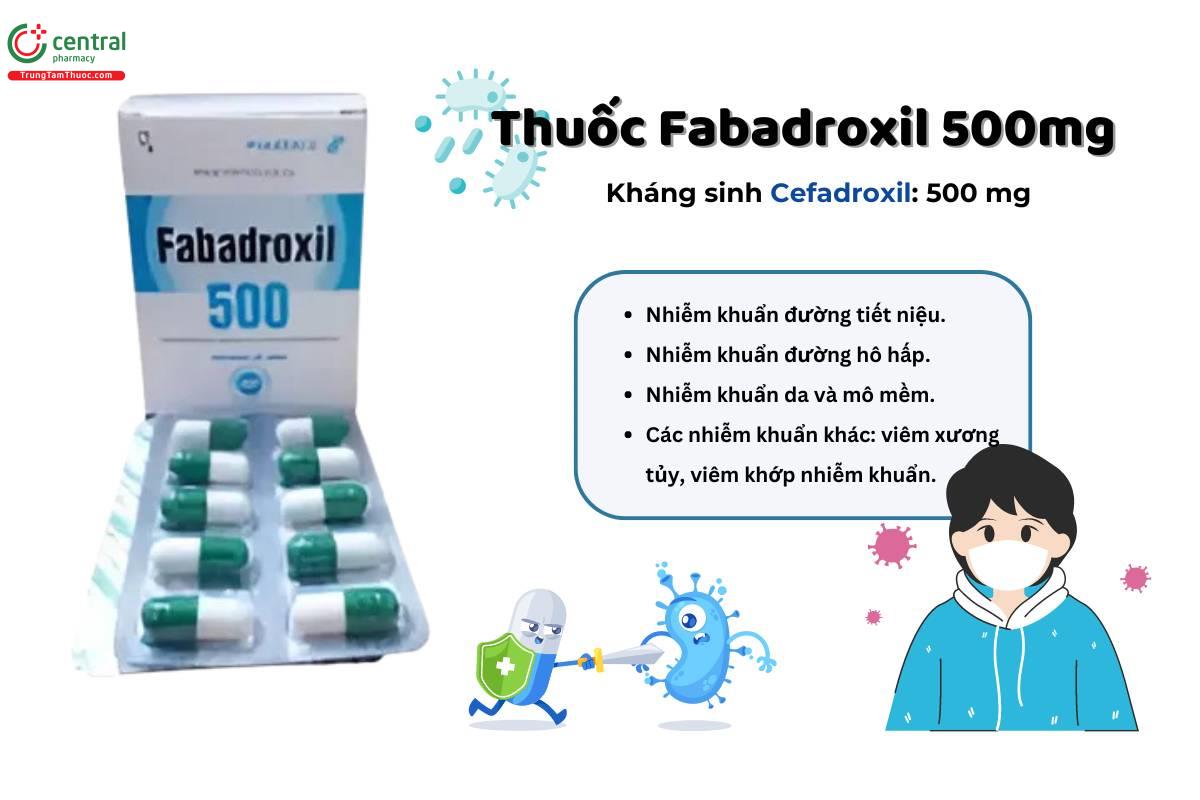 Thuốc Fabadroxil 500 điều trị các bệnh nhiễm khuẩn nhẹ và trung bình