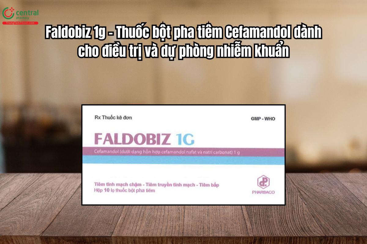 Thuốc Faldobiz 1g điều trị nhiễm khuẩn và dự phòng sau phẫu thuật