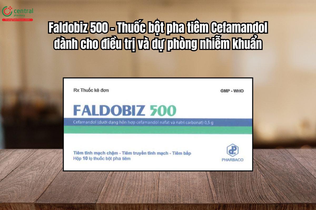 Thuốc Faldobiz 500 điều trị nhiễm khuẩn, dự phòng trước phẫu thuật