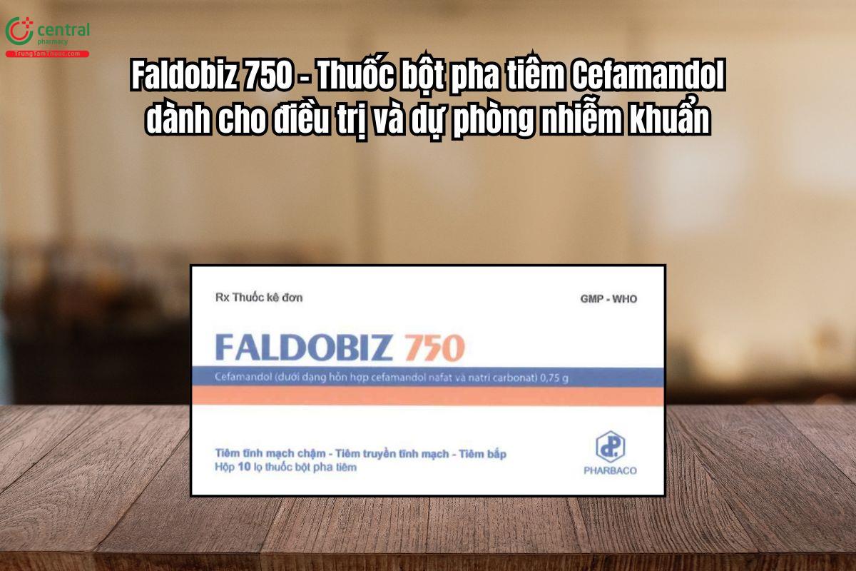 Thuốc Faldobiz 750 dùng điều trị và dự phòng nhiễm khuẩn