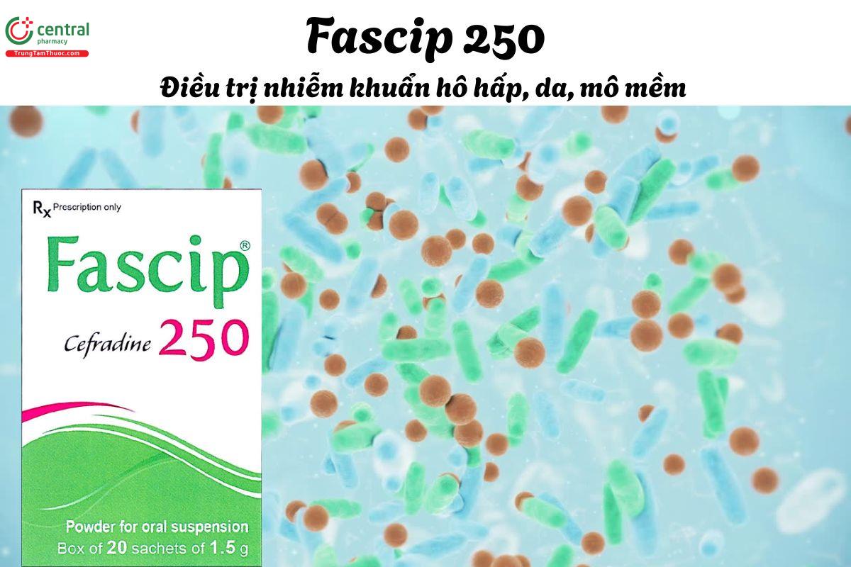 Thuốc Fascip 250 - Điều trị nhiễm khuẩn do vi khuẩn nhạy cảm với thuốc