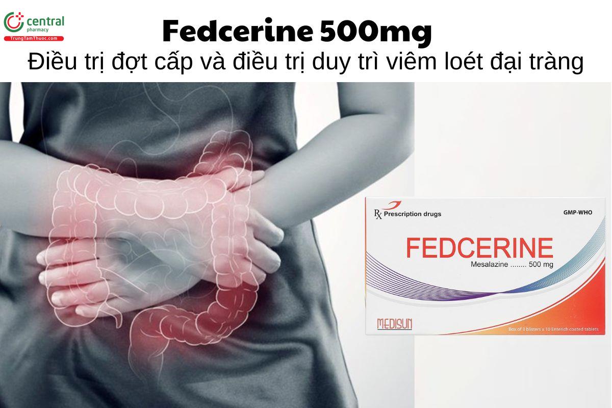 Thuốc Fedcerine 500mg - Điều trị đợt cấp và điều trị duy trì viêm loét đại tràng