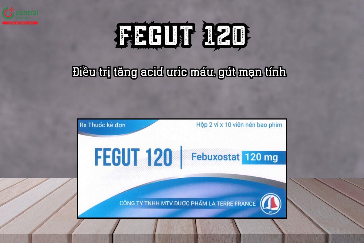 Thuốc Fegut 120 – Điều trị tăng acid uric máu, gút mạn tính