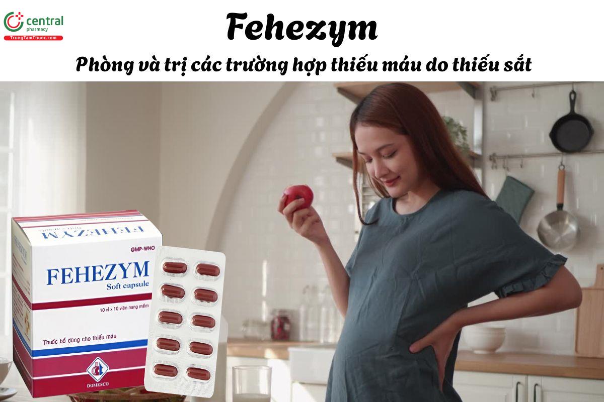 Thuốc Fehezym - Phòng và điều trị thiếu máu do thiếu sắt và acid folic