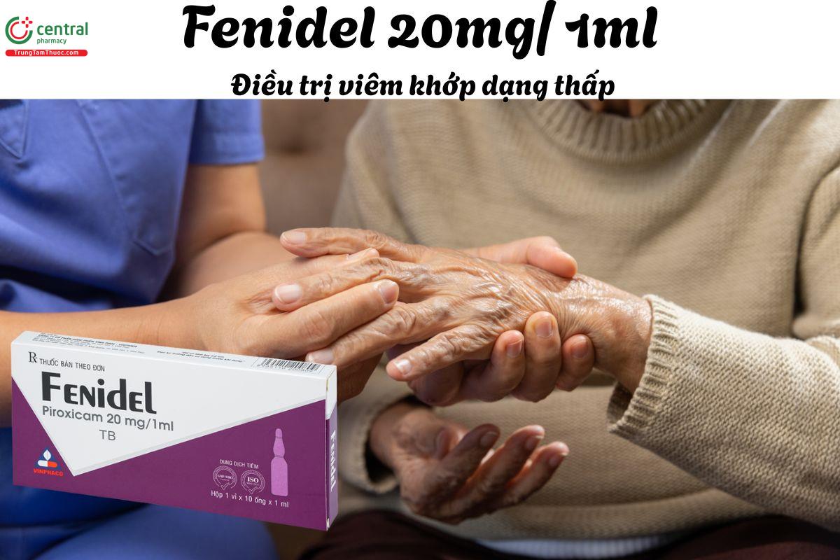 Thuốc Fenidel 20mg/1ml - Điều trị viêm khớp dạng thấp, viêm xương khớp
