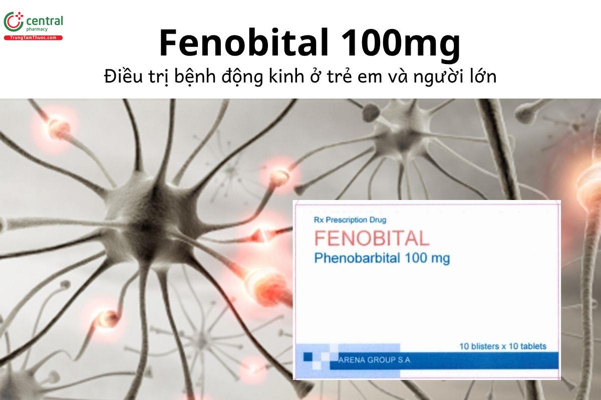 Thuốc Fenobital 100mg - Điều trị bệnh động kinh ở trẻ em và người lớn