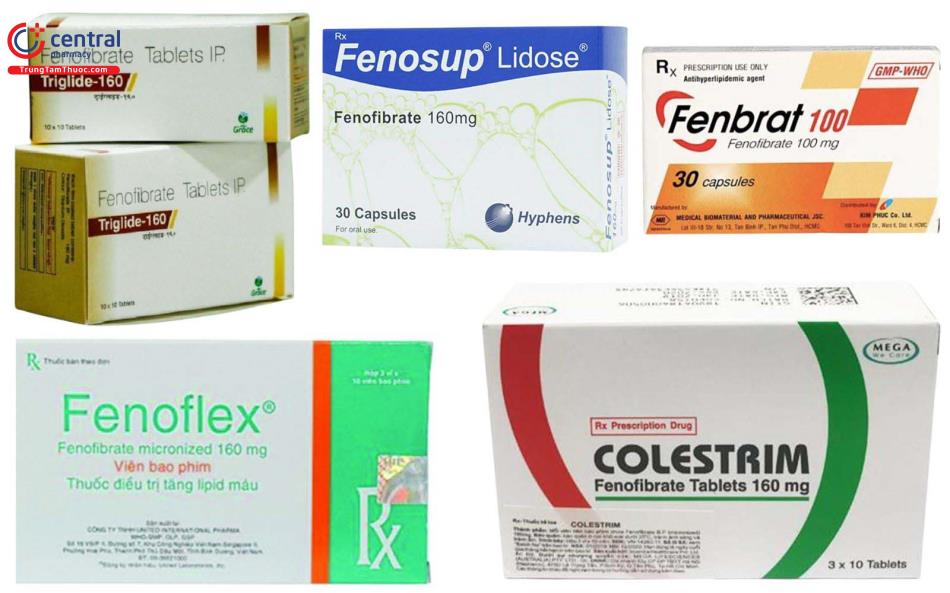 Các thuốc chứa Fenofibrate