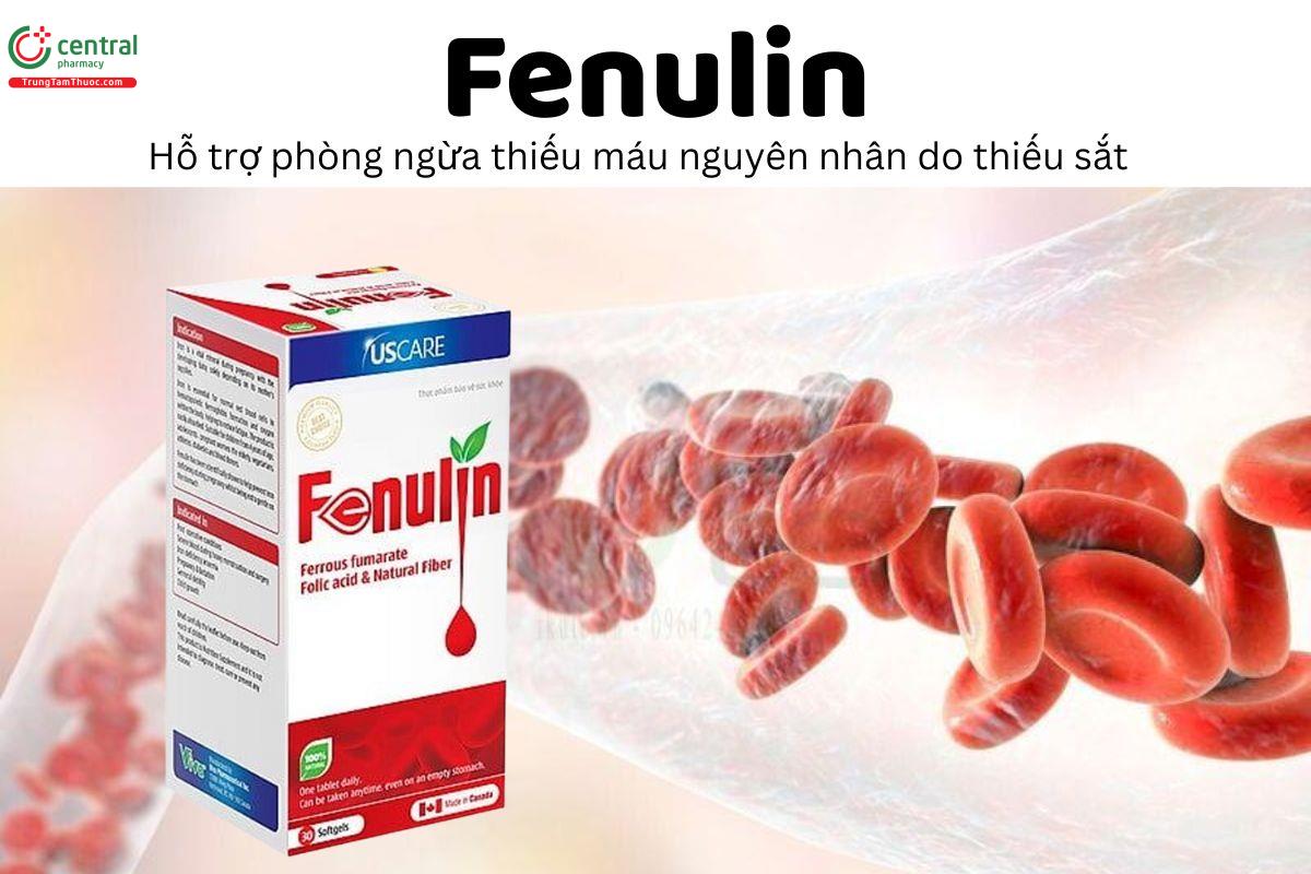 Fenulin - Hỗ trợ phòng ngừa thiếu máu nguyên nhân do thiếu sắt