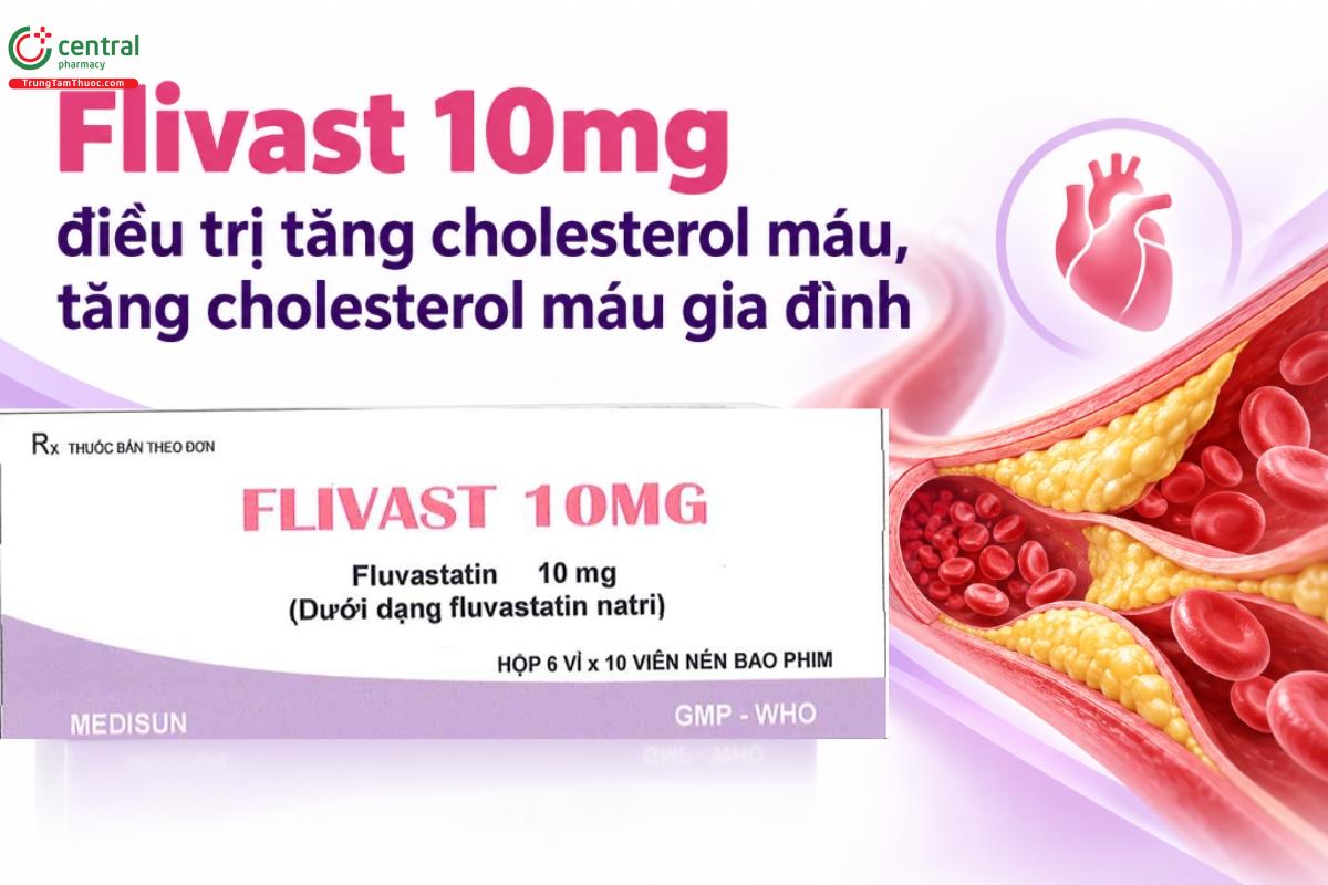 Thuốc Flivast 10mg điều trị tăng cholesterol máu, tăng cholesterol máu gia đình
