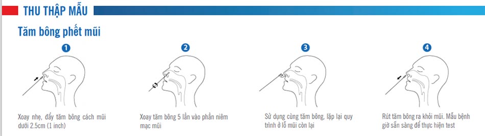 Thu thập mẫu bằng cách dùng tăm bông phết mũi