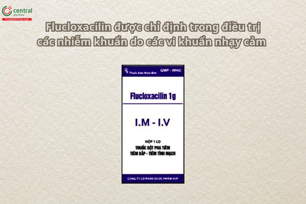 Thuốc Flucloxacilin 1g VCP điều trị viêm xương tủy, viêm nội tâm mạc