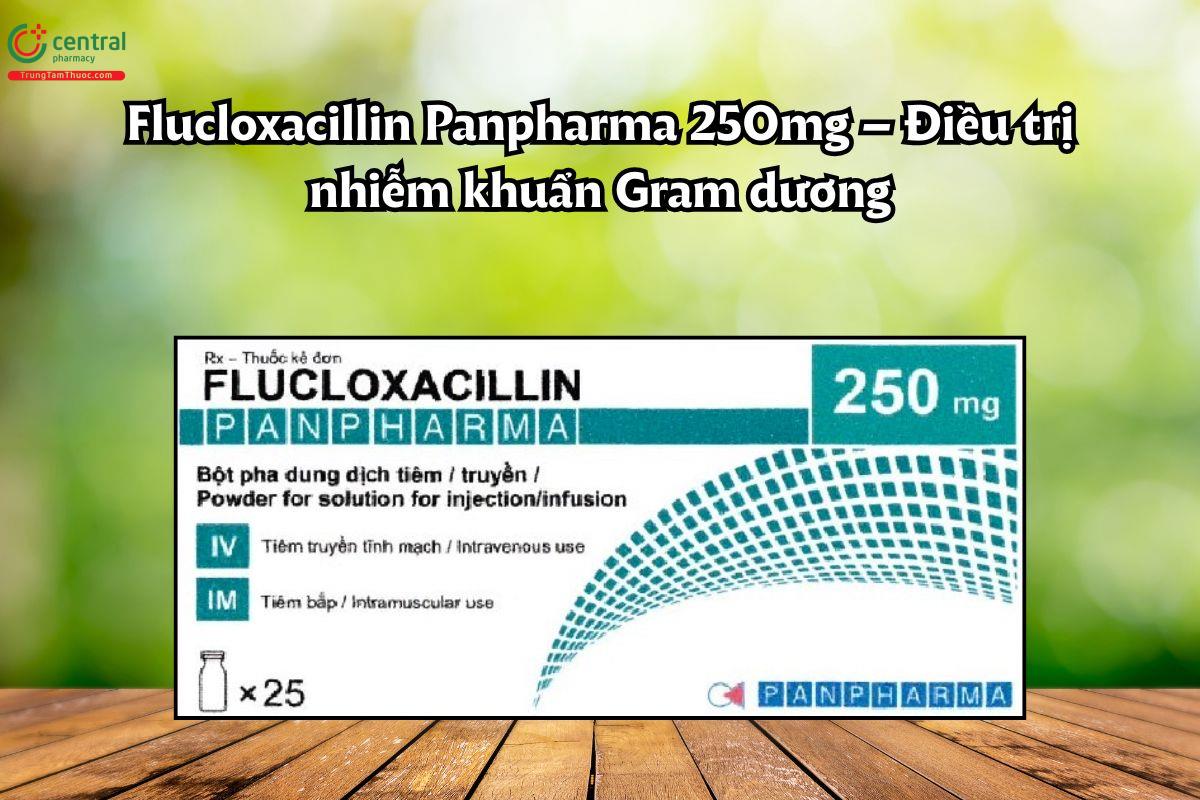 Thuốc Flucloxacillin Panpharma 250mg điều trị nhiễm khuẩn Gram dương