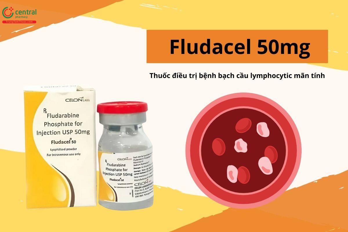 Thuốc Fludacel 50mg điều trị bạch cầu mạn dòng lympho B tiến triển