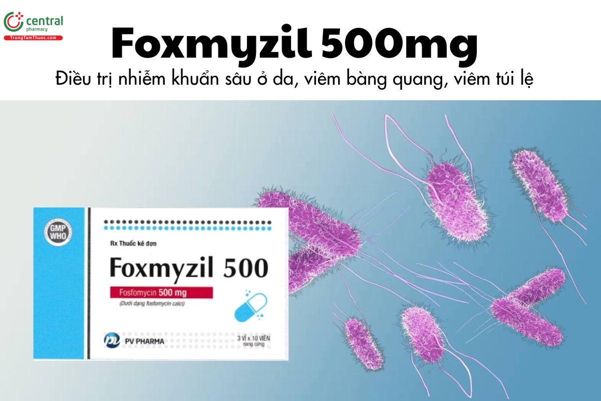 Thuốc Foxmyzil 500mg - Điều trị nhiễm khuẩn sâu ở da, viêm bàng quang, viêm túi lệ