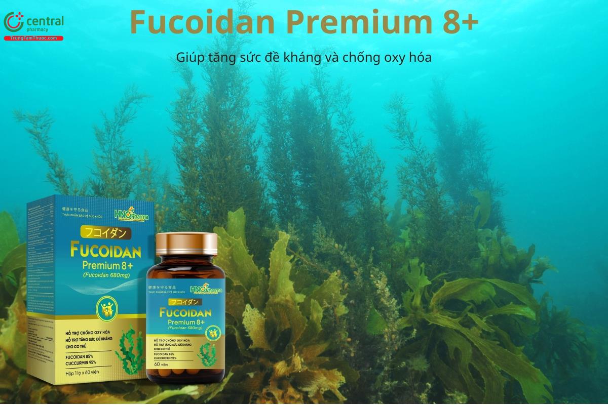 Fucoidan Premium 8+ giúp tăng sức đề kháng và chống oxy hóa