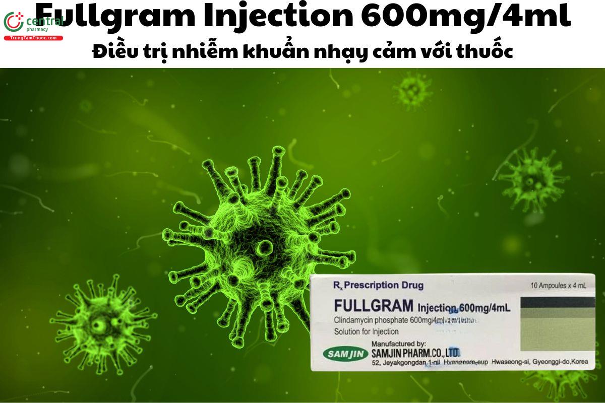 Thuốc Fullgram Injection 600mg/4ml - Điều trị  nhiễm khuẩn nhạy cảm