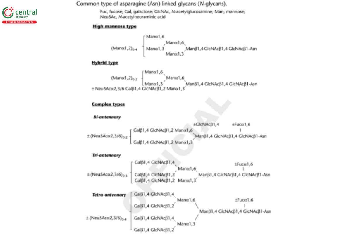 Figure 1. Common types of N-glycans. For abbreviations, see Appendix 1.