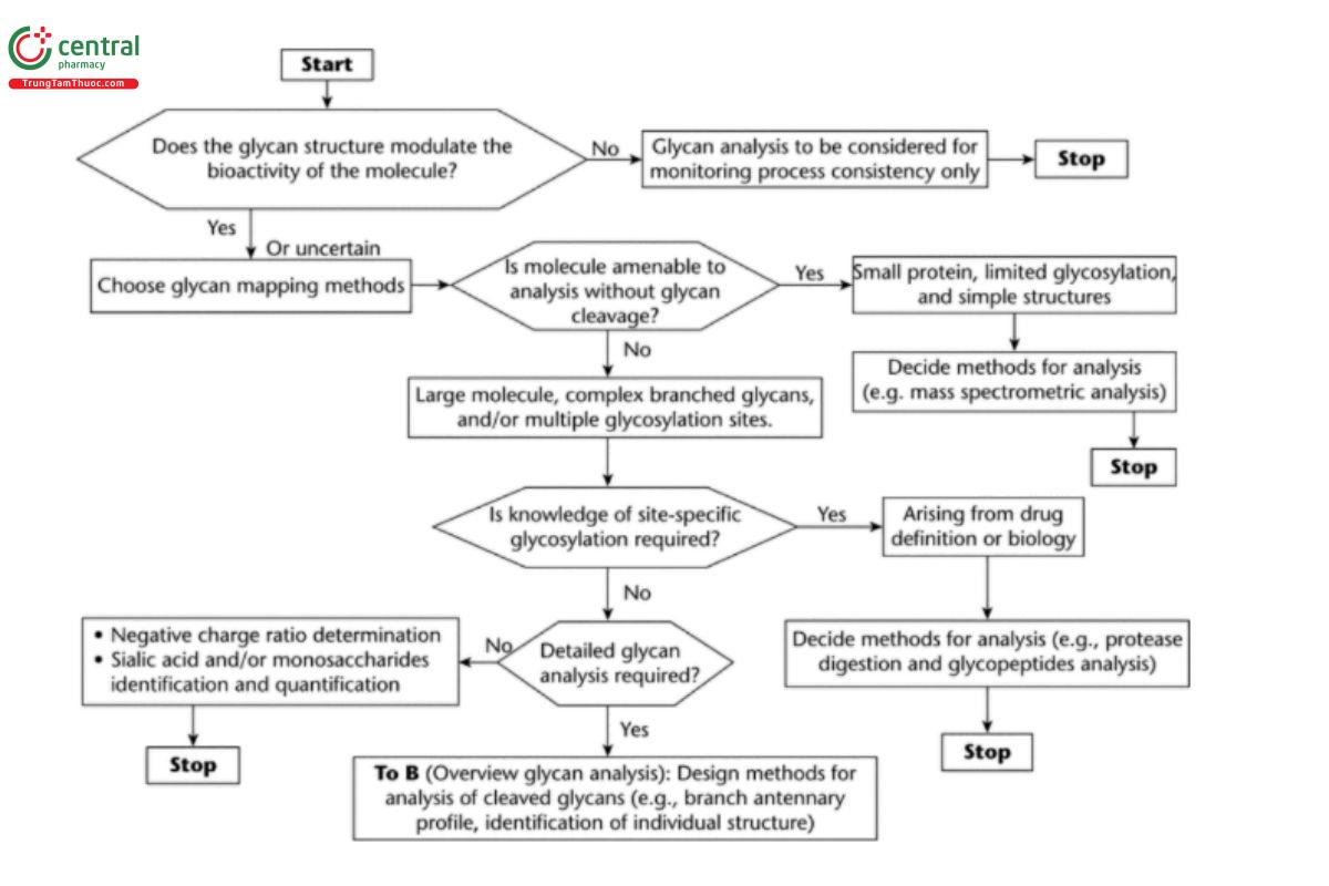 Figure 3A. Flow diagram assisting in the choice of options for glycan analysis.