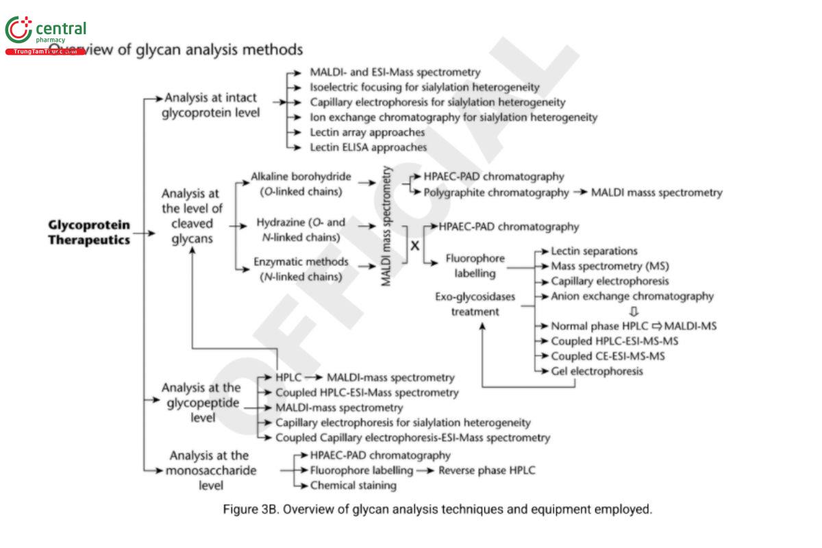 Figure 3B. Overview of glycan analysis techniques and equipment employed.