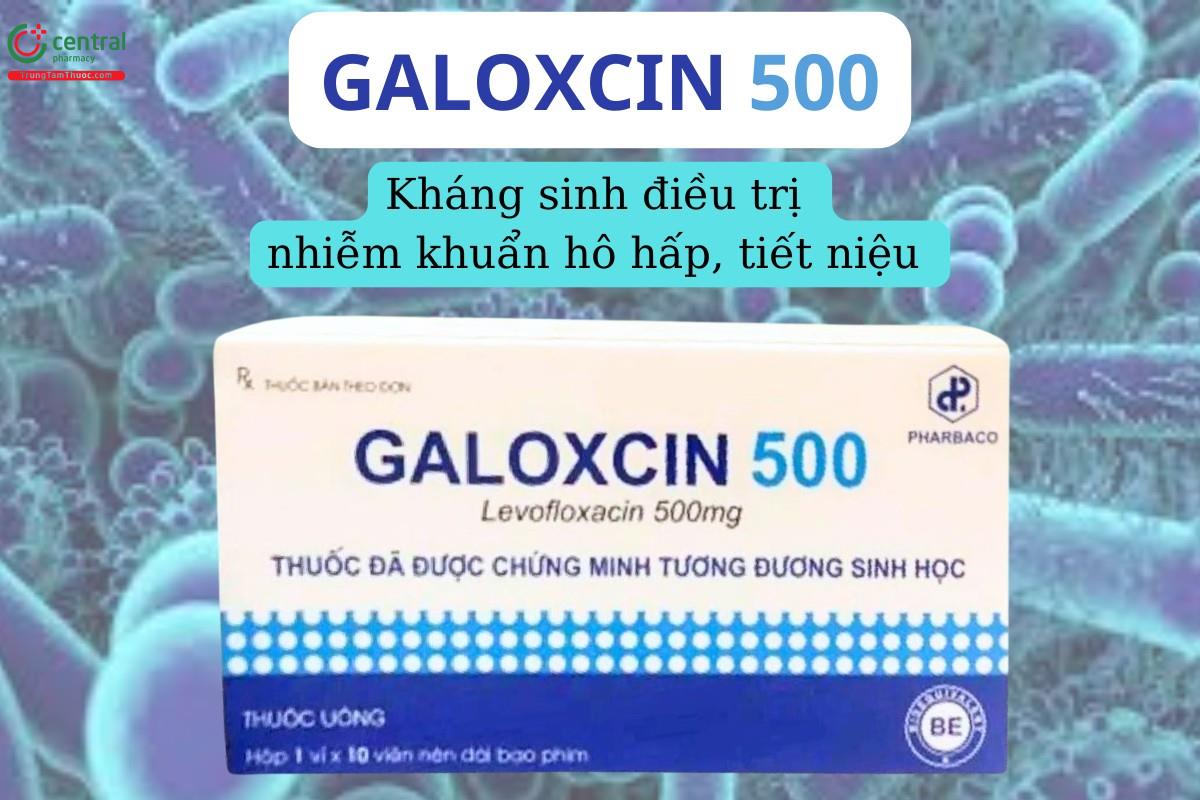 Galoxcin 500