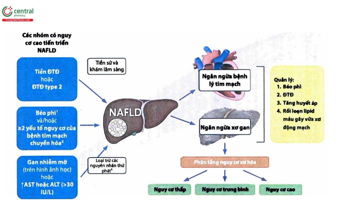 SƠ ĐỒ QUẢN LÝ NAFLD – TỔNG QUAN