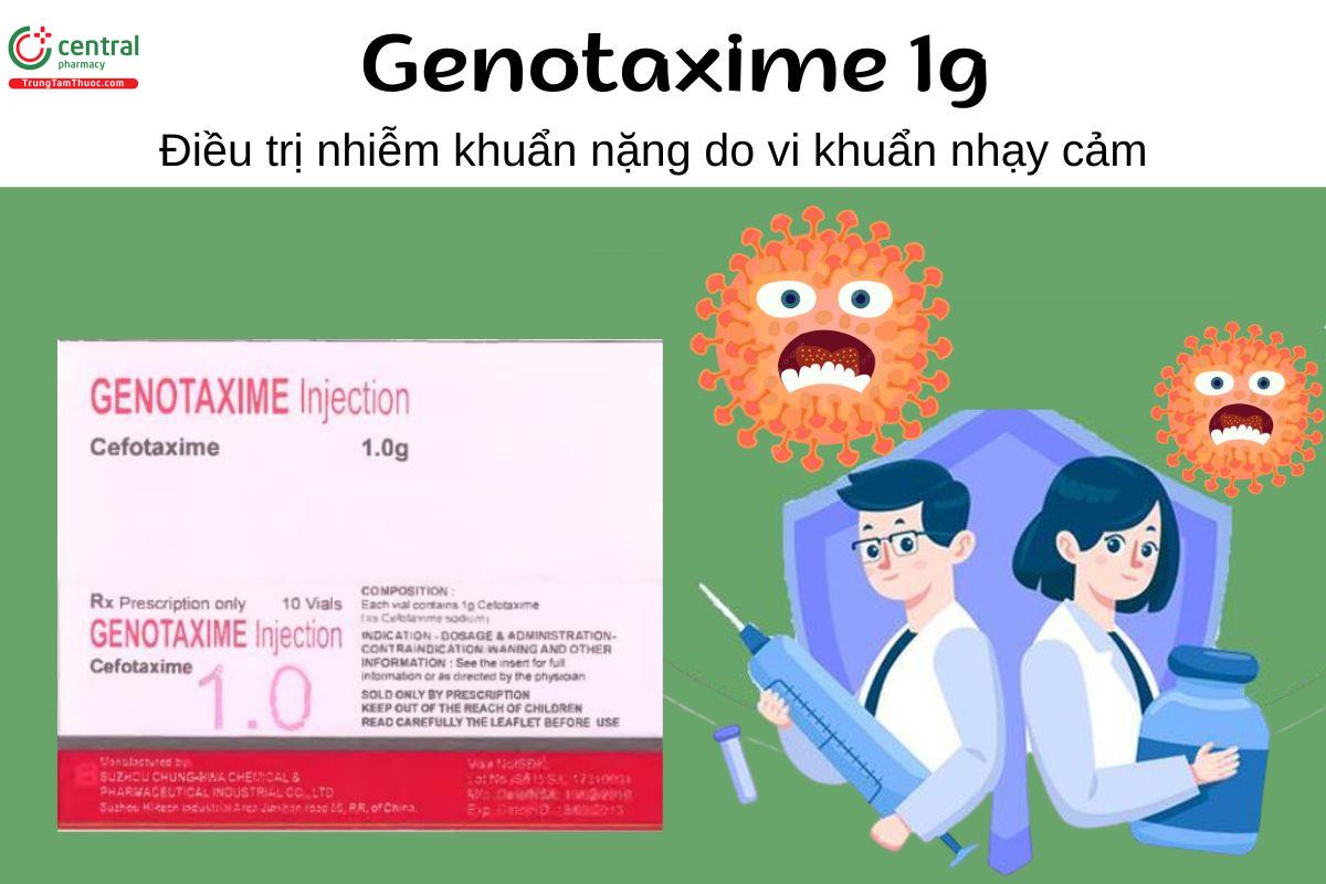 Thuốc Genotaxime 1g - Điều trị nhiễm khuẩn nặng do vi khuẩn nhạy cảm 